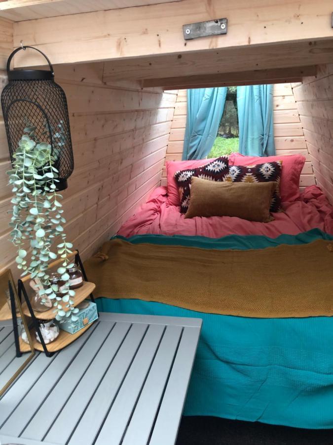 Campo de lujo Family Skylight *